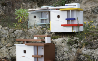 Nouveau projet avec le MO.CO Montpellier 🫟