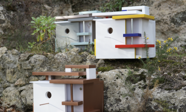 Nouveau projet avec le MO.CO Montpellier 🫟