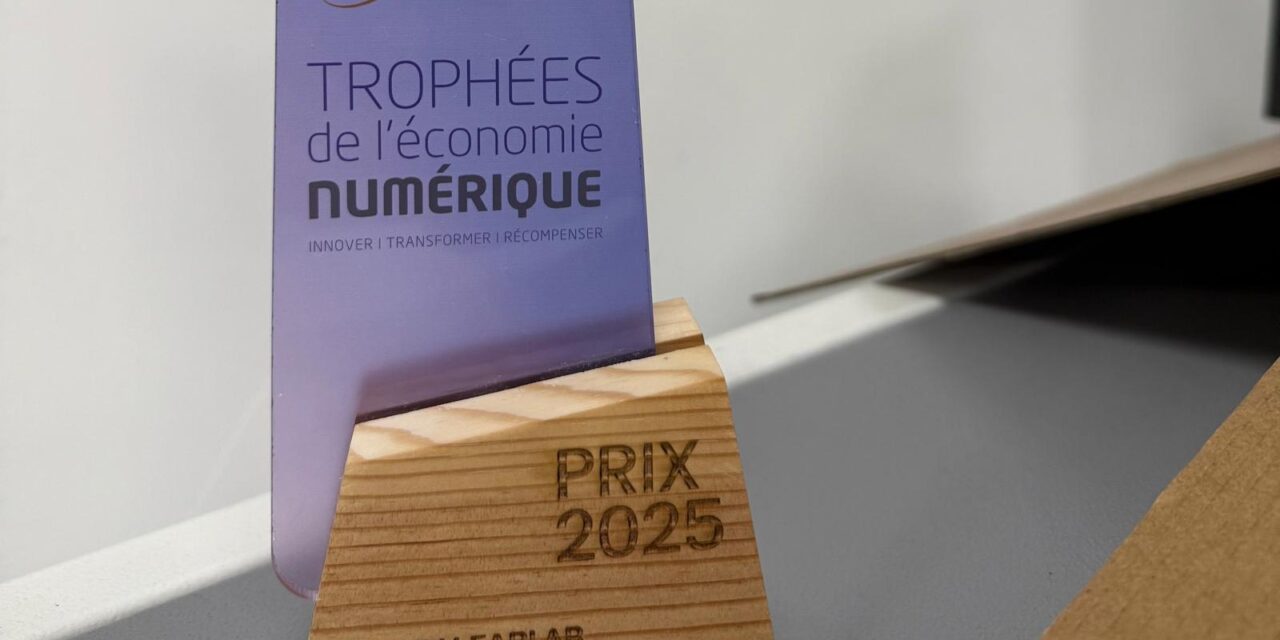 LABSud x RoseLab x La Mêlée : conception des trophées de l’Économie Numérique 🏆