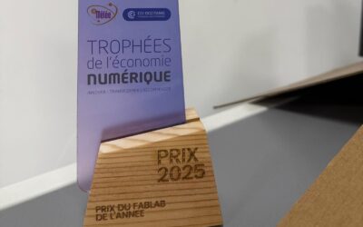 LABSud x RoseLab x La Mêlée : conception des trophées de l’Économie Numérique 🏆