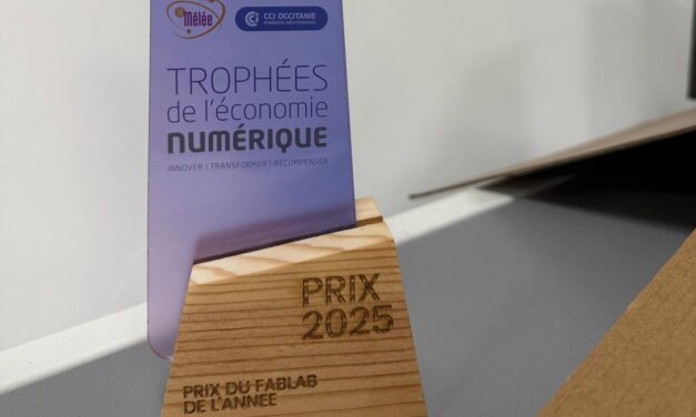 LABSud x RoseLab x La Mêlée : conception des trophées de l’Économie Numérique 🏆